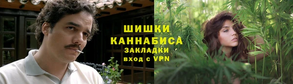 ГАЛЛЮЦИНОГЕННЫЕ ГРИБЫ Баксан